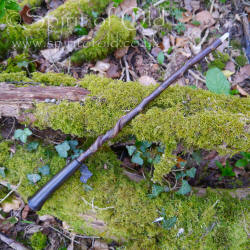 Blackthorn wand with bog oak handle