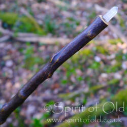 Blackthorn wand with bog oak handle