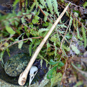 Willow root wand with Quartz tip