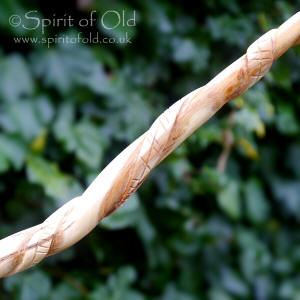 Willow wand with ogham scroll