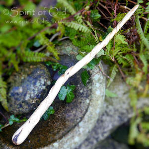 Willow wand with ogham scroll