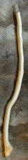 Quartz tipped Hawthorn wand