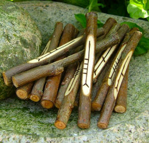 Swallowhead willow ogham staves