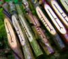 Selected Native Celtic Woods - Real Ogham Staves 